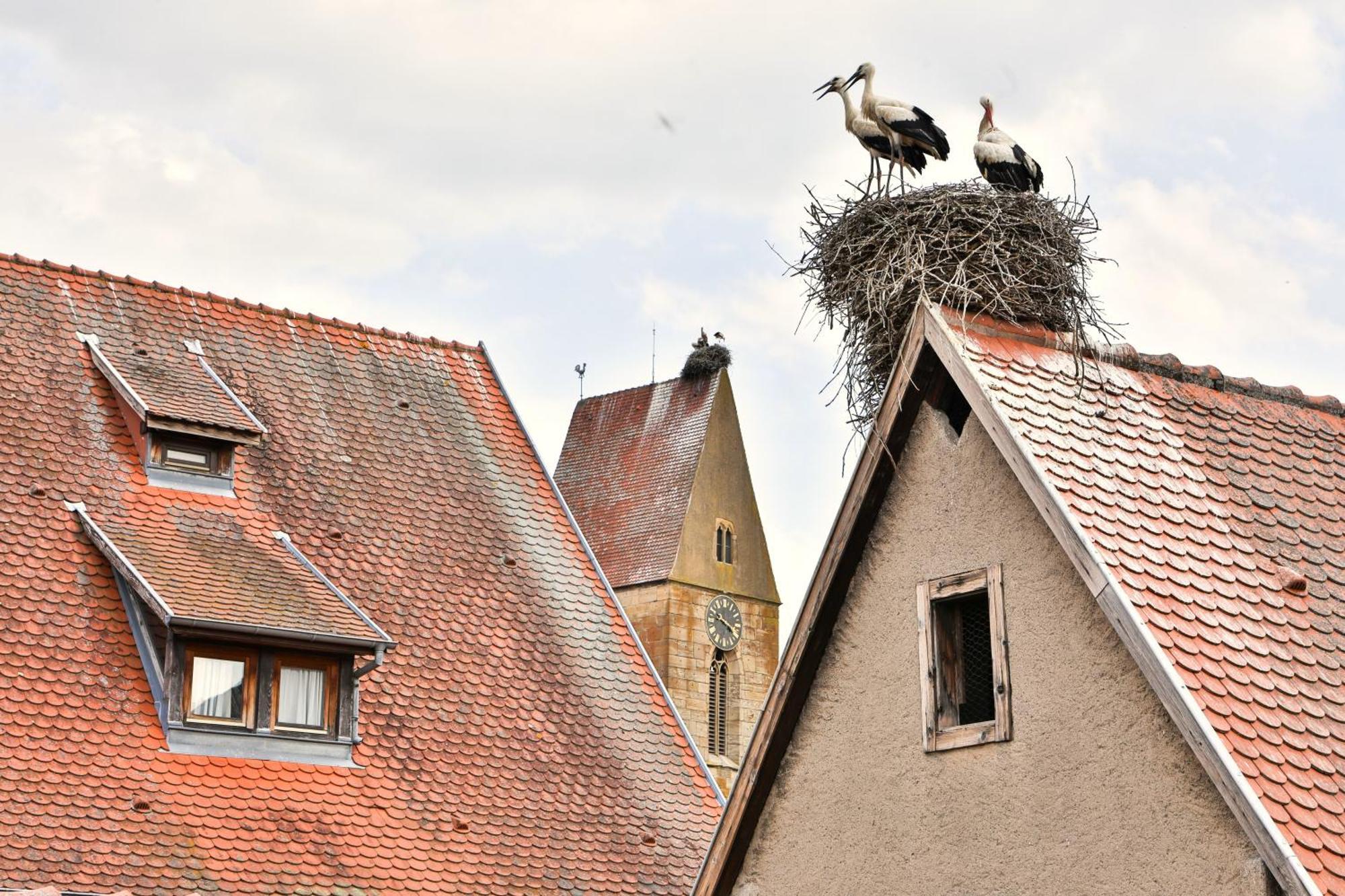 La Legende Des 2 Pierres Lägenhet Eguisheim Exteriör bild
