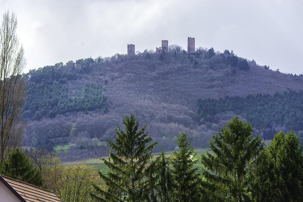 La Legende Des 2 Pierres Lägenhet Eguisheim Exteriör bild