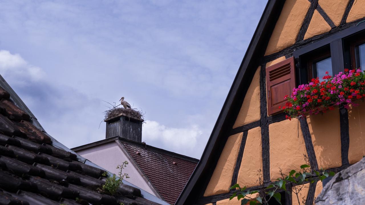 La Legende Des 2 Pierres Lägenhet Eguisheim Exteriör bild